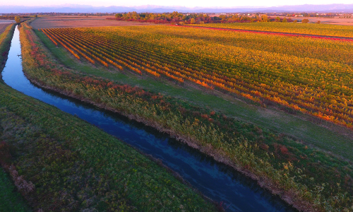 DCIM\100MEDIA\DJI_0302.JPG