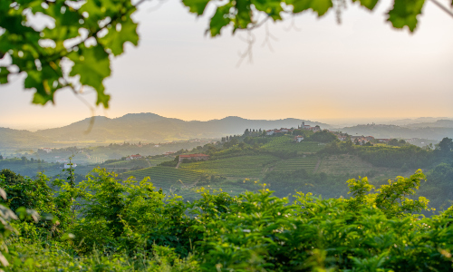 Land Friuli 2 111