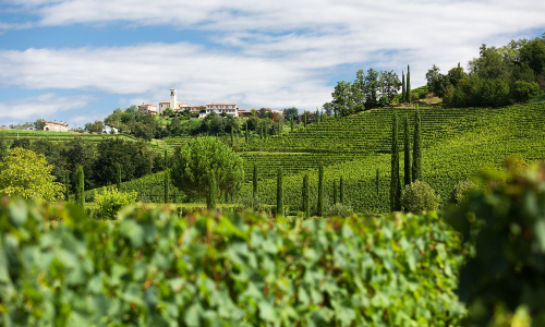 Land Friuli 3 1111111