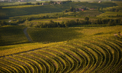 Collio