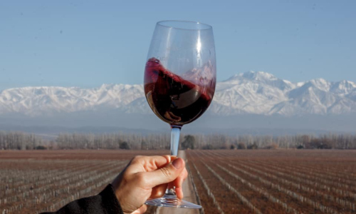 Malbec Anden 555