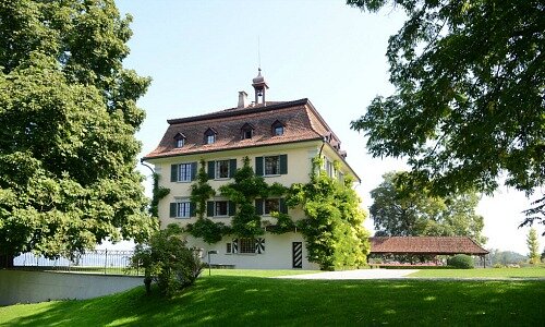 Wolfsberg 2 555
