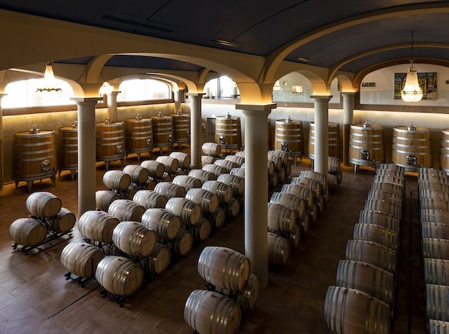 tenuta vallocaia wine cellar