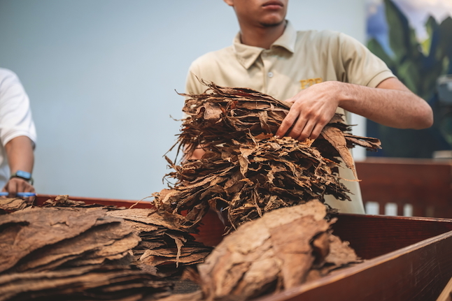 Cigar blending